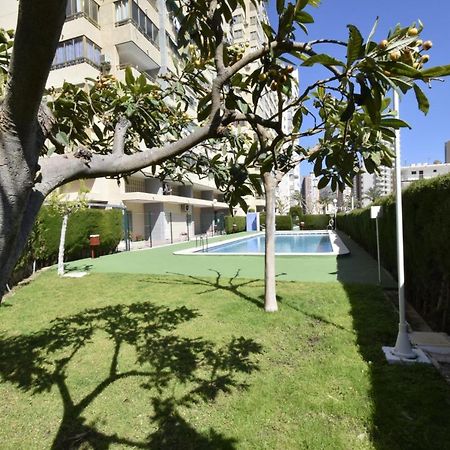 Mariscal 4 - Fincas Arena Benidorm Exteriér fotografie