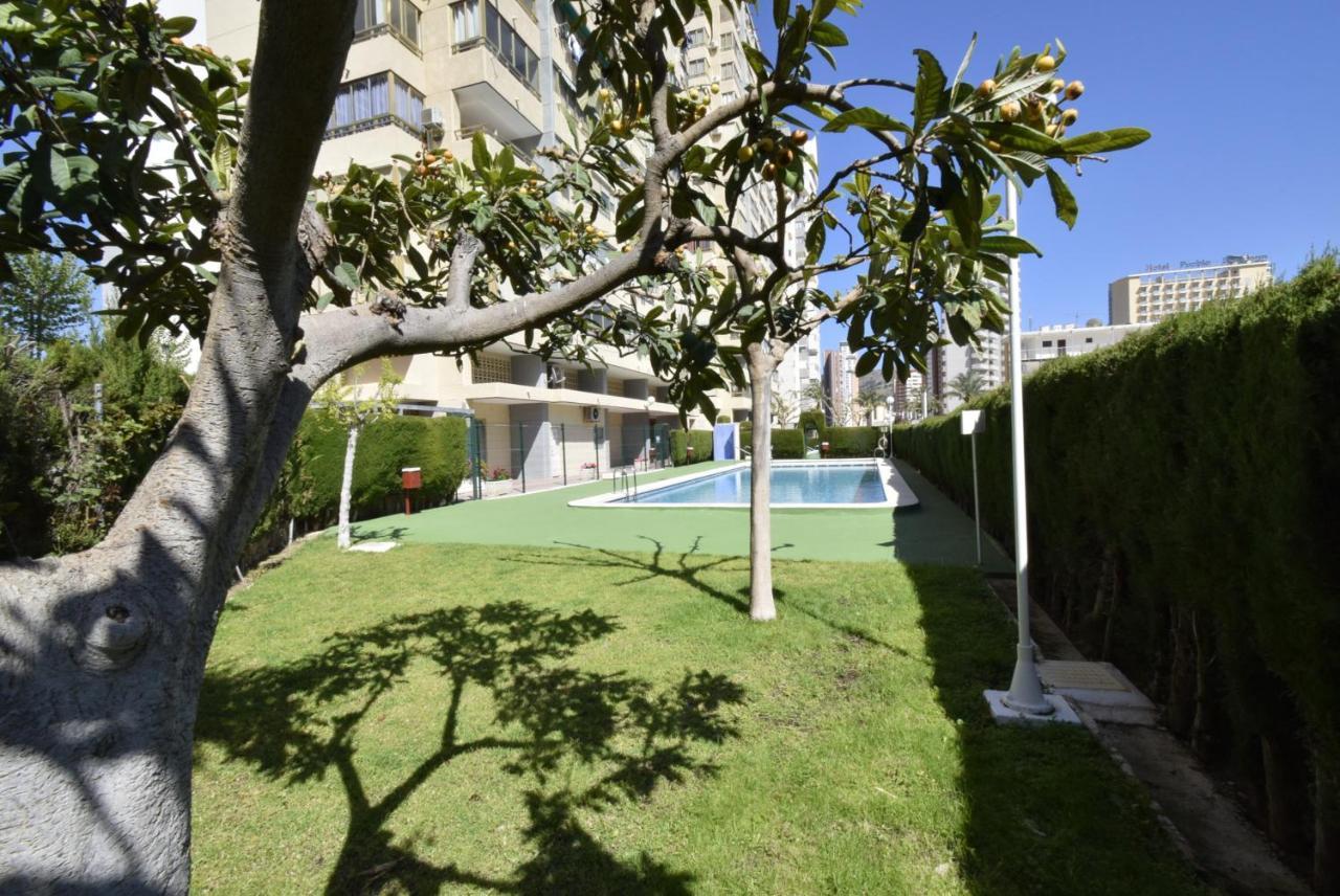 Mariscal 4 - Fincas Arena Benidorm Exteriér fotografie