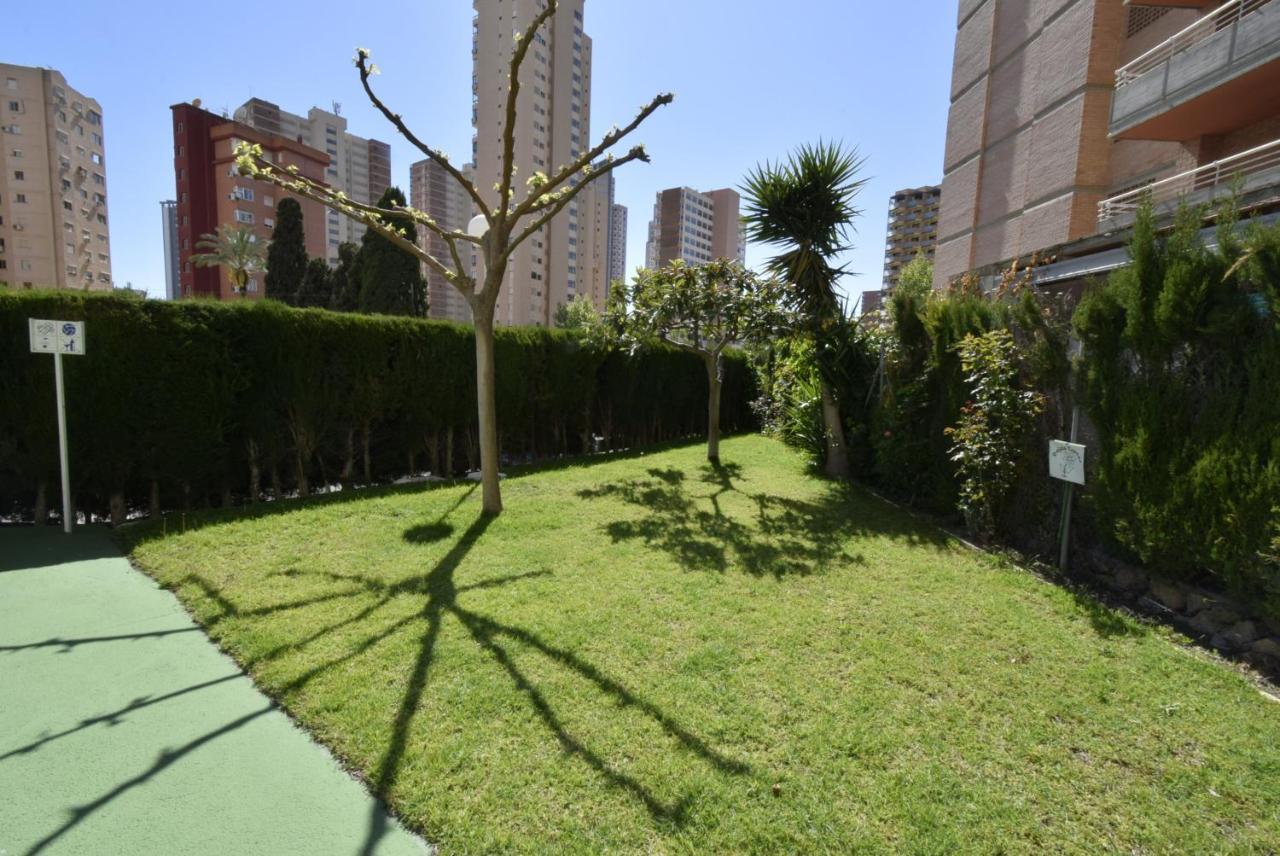Mariscal 4 - Fincas Arena Benidorm Exteriér fotografie